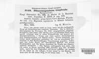 Image Associated With the Occurence